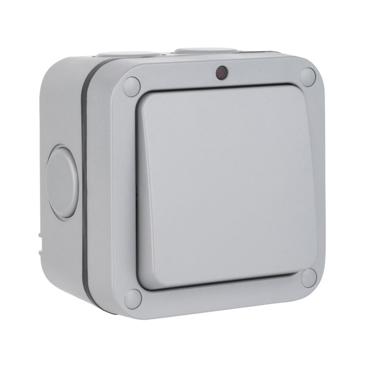 IP66 1G Switch & Neon Indicator - WEOPS1G